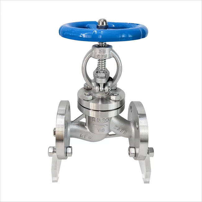 Check Valve