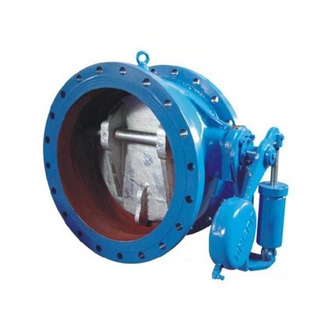 Check Valve