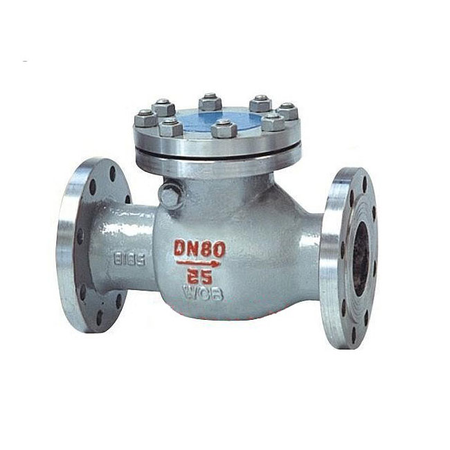Check Valve